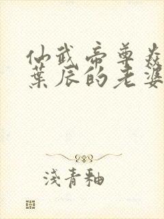 仙武帝尊焱妃是叶辰的老婆吗封面