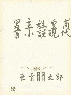 男主姓皇甫的所有小说现代言情