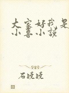 大家好我是叫林小喜小说