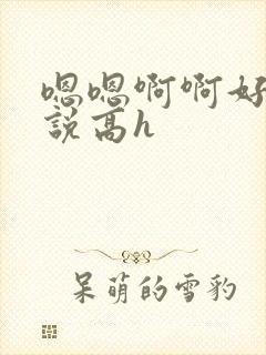 嗯嗯啊啊好爽小说高h