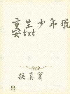 重生少年猎美赵安txt