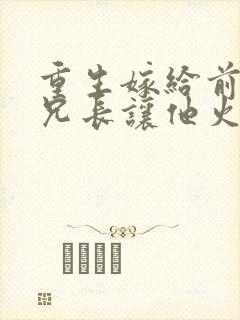 重生嫁给前夫他兄长让他火葬场