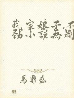 我家娘子,不对劲小说无删减