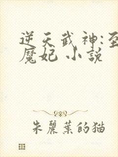 逆天武神:至尊魔妃 小说