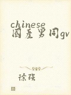 chinese国产男同gv