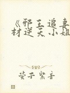 《邪王追妻:废材逆天小姐》封面