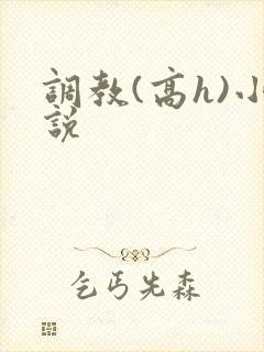 调教(高h)小说