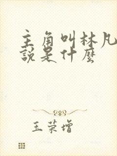 主角叫林凡的小说是什么