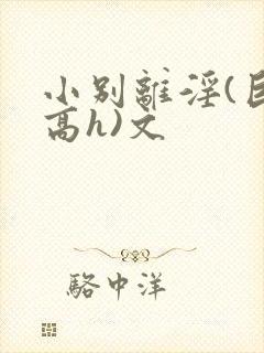 小别离淫(巨肉高h)文