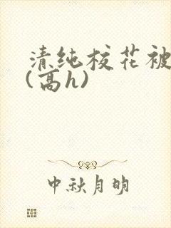 清纯校花被调教(高h)