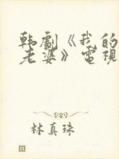 韩剧《我的邻居老婆》电视剧