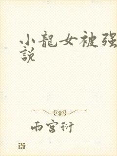 小龙女被强暴小说封面