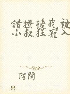 错撩后我被渣男小叔狂宠入骨