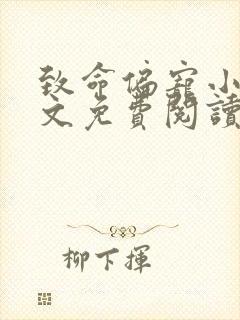 致命偏宠小说全文免费阅读无弹窗