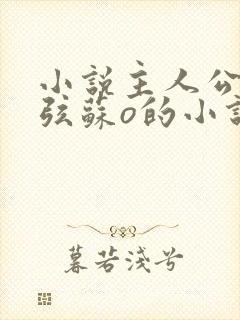 小说主人公顾北弦苏o的小说