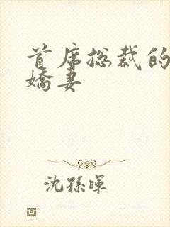 首席总裁的高冷娇妻封面