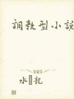 调教型小说h封面