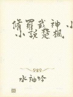 修罗武神 小说 小说楚枫