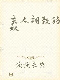 主人调教的小男奴封面