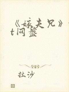 《嫁夫兄》txt网盘