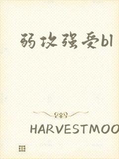 弱攻强受bl封面