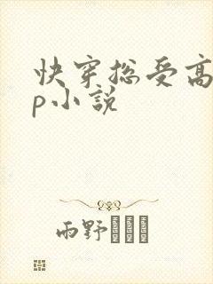 快穿总受高hnp小说