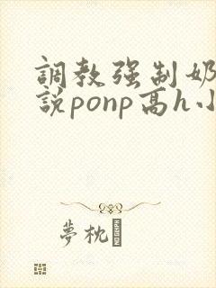 调教强制奶子小说ponp高h小说