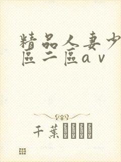 精品人妻少妇一区二区aⅴ