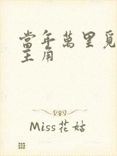 当年万里觅封侯主角