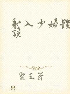 射入少妇体内小说