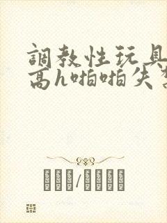 调教性玩具np高h啪啪失禁hh