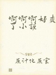 啊啊啊好爽高潮了小说