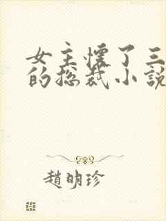 女主怀了三胞胎的总裁小说