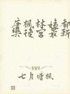 唐枫林姨都市极乐后宫最新章节列表