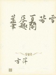 叶辰夏若雪孙怡笔趣阁封面