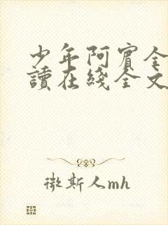 少年阿宾全文阅读在线全文阅读