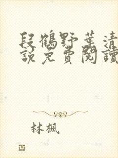 段鹤野叶清璃小说免费阅读最新章节封面