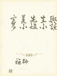 完美先生与差不多小姐小说封面