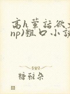 高h荤话欲文(np)粗口小说