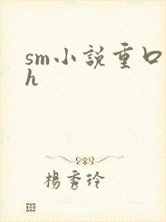 sm小说重口高h封面