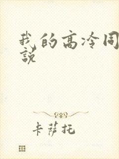 我的高冷同桌小说