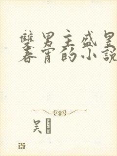 双男主盛昱x路春宵的小说名