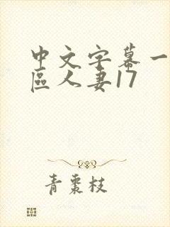 中文字幕一区二区人妻17封面