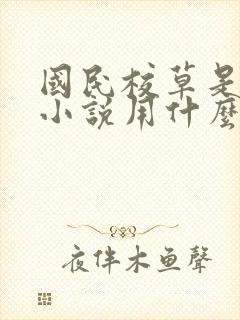 国民校草是女生小说用什么app可以免费封面