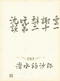 沈晚梨谢云迟小说第二十一章