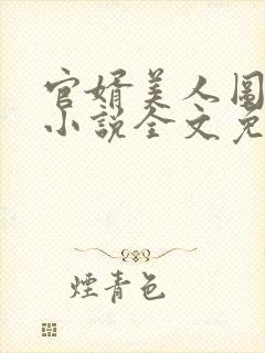 官婿美人图安江小说全文免费阅读