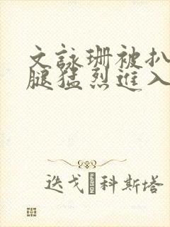 文咏珊被扒开双腿猛烈进入小说