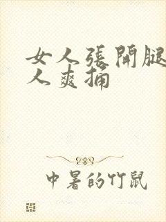 女人张开腿让男人爽捅