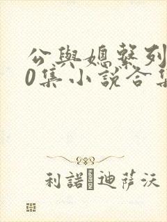 公与媳系列100集小说合集封面