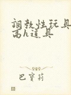 调教性玩具np高h道具